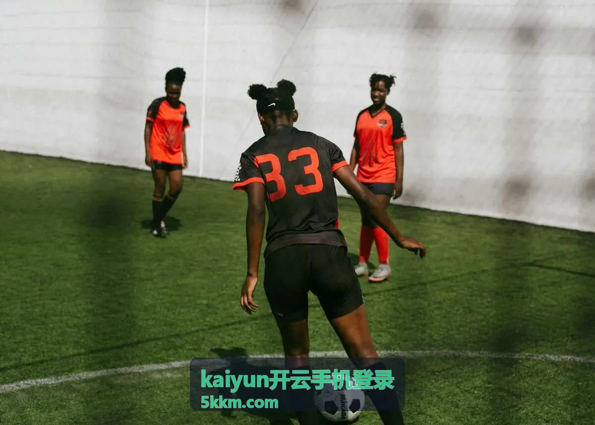 kaiyun开云手机登录账号安全提示与自查封面