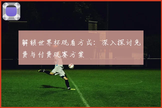 解锁世界杯观看方式：深入探讨免费与付费观赛方案