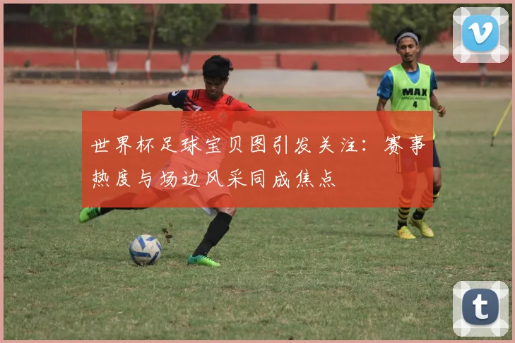 世界杯足球宝贝图引发关注：赛事热度与场边风采同成焦点
