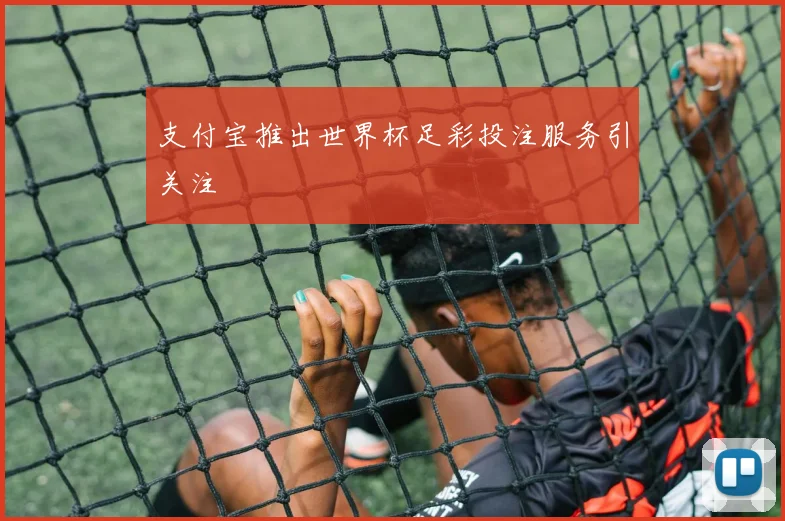 支付宝推出世界杯足彩投注服务引关注