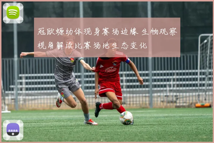 冠欧螈幼体现身赛场边缘 生物观察视角解读比赛场地生态变化