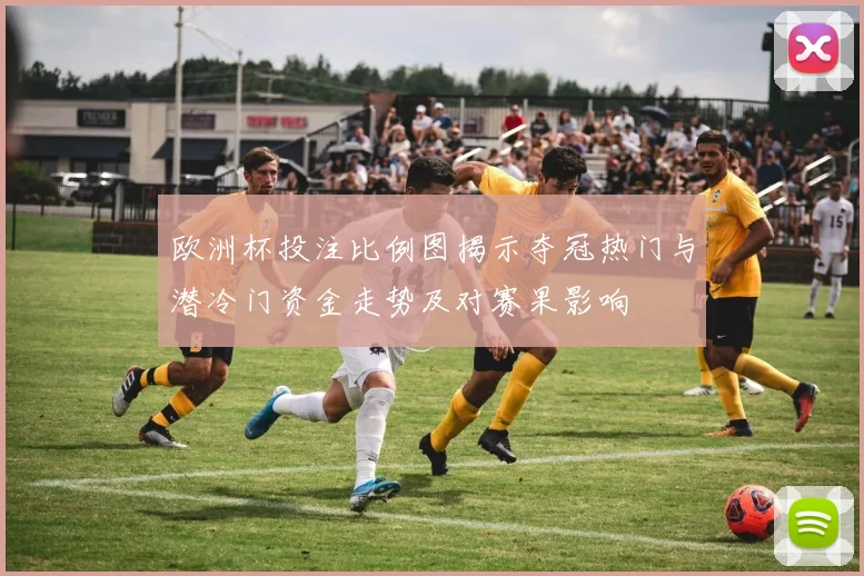 欧洲杯投注比例图揭示夺冠热门与潜冷门资金走势及对赛果影响
